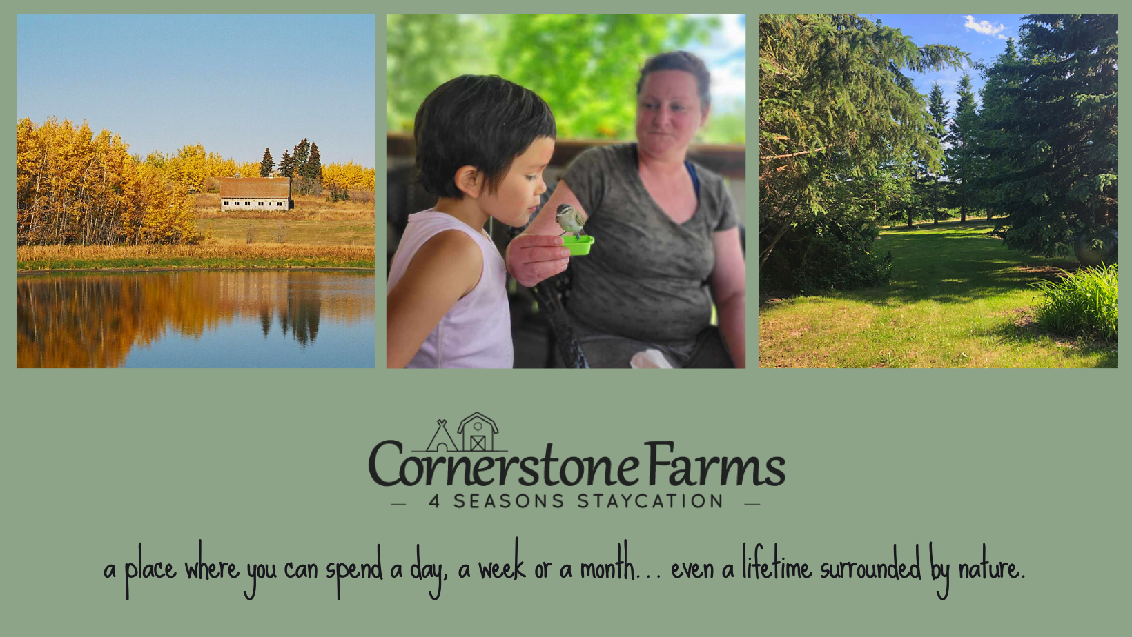 Discover... Cornerstone Farms