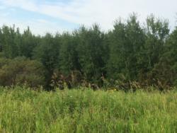 12-acre-lot-rental_east-view